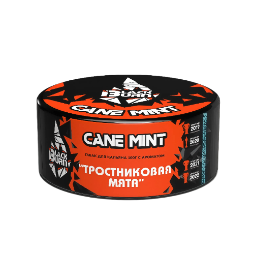 Табак для кальяна Black Burn (100 гр)