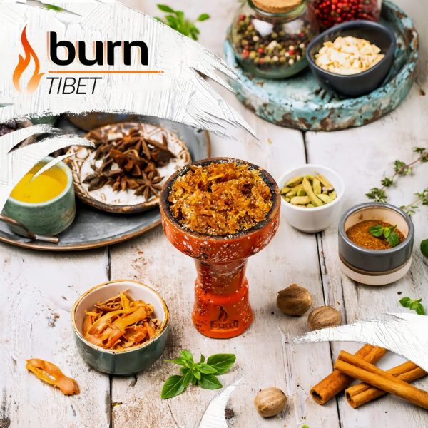 Табак для кальяна Burn (20 гр)